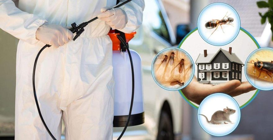 Dumlupınar Böcek İlaçlama