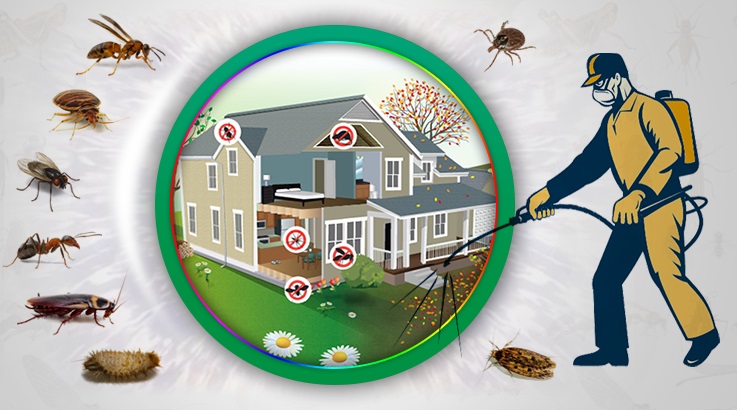 Dumlupınar Böcek İlaçlama