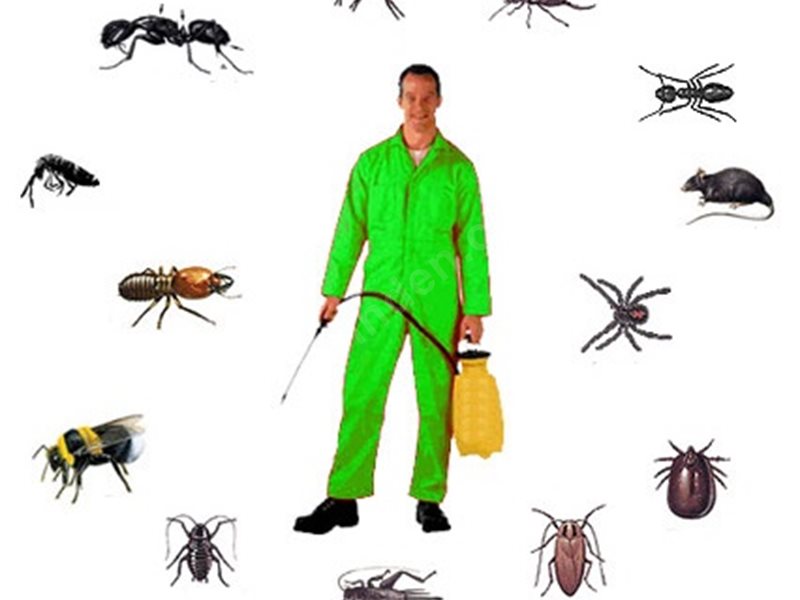 Dumlupınar Böcek İlaçlama